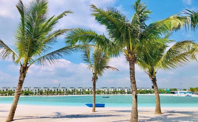 Bán biệt thự San Hô 135m2 tiểu khu San Hô KĐT Vinhomes Ocean Park 6